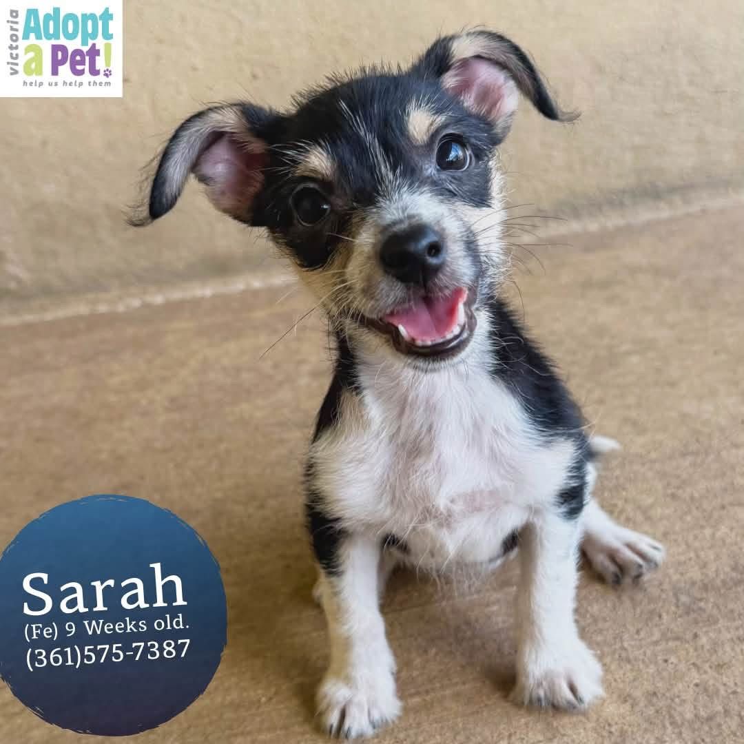 Sarah