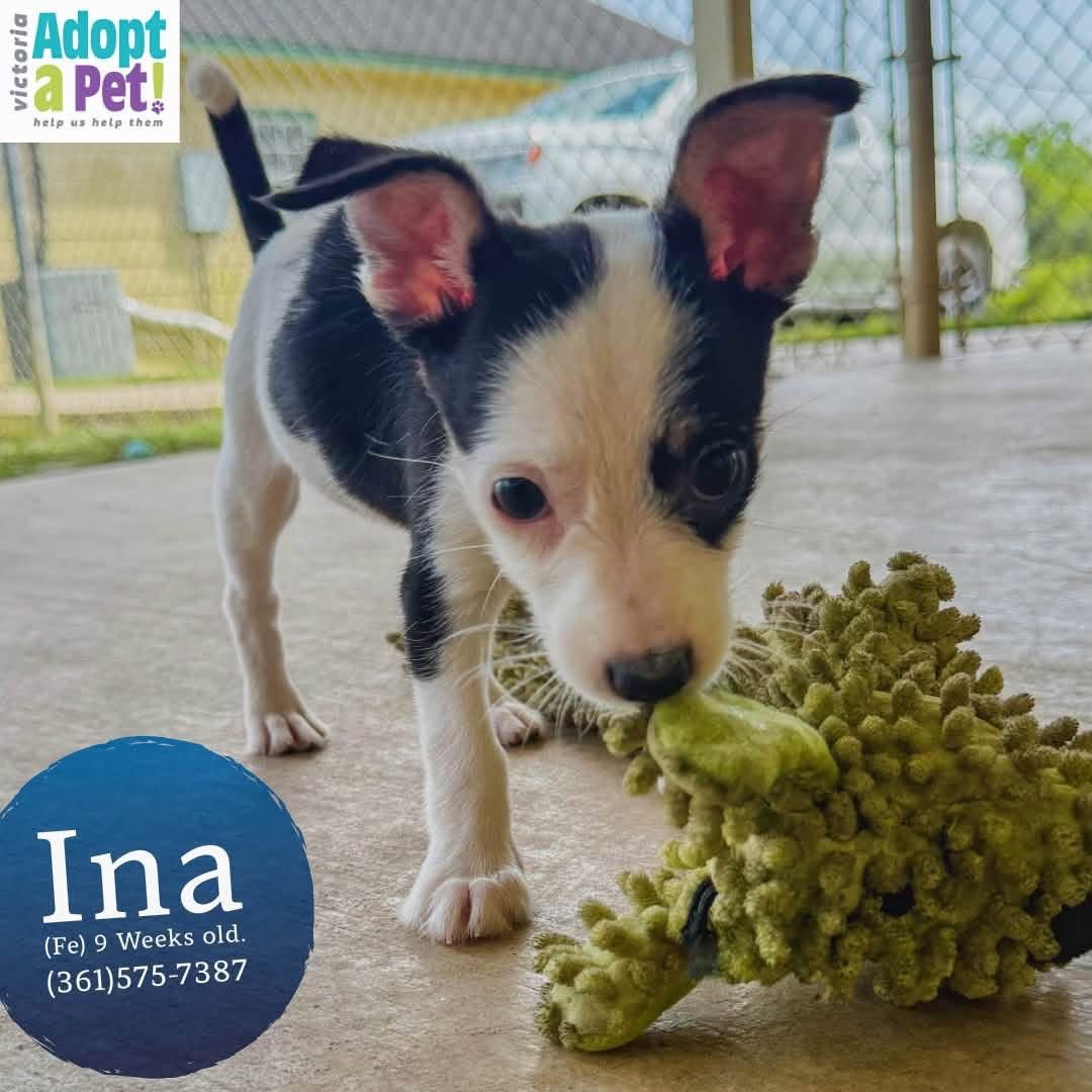 Ina