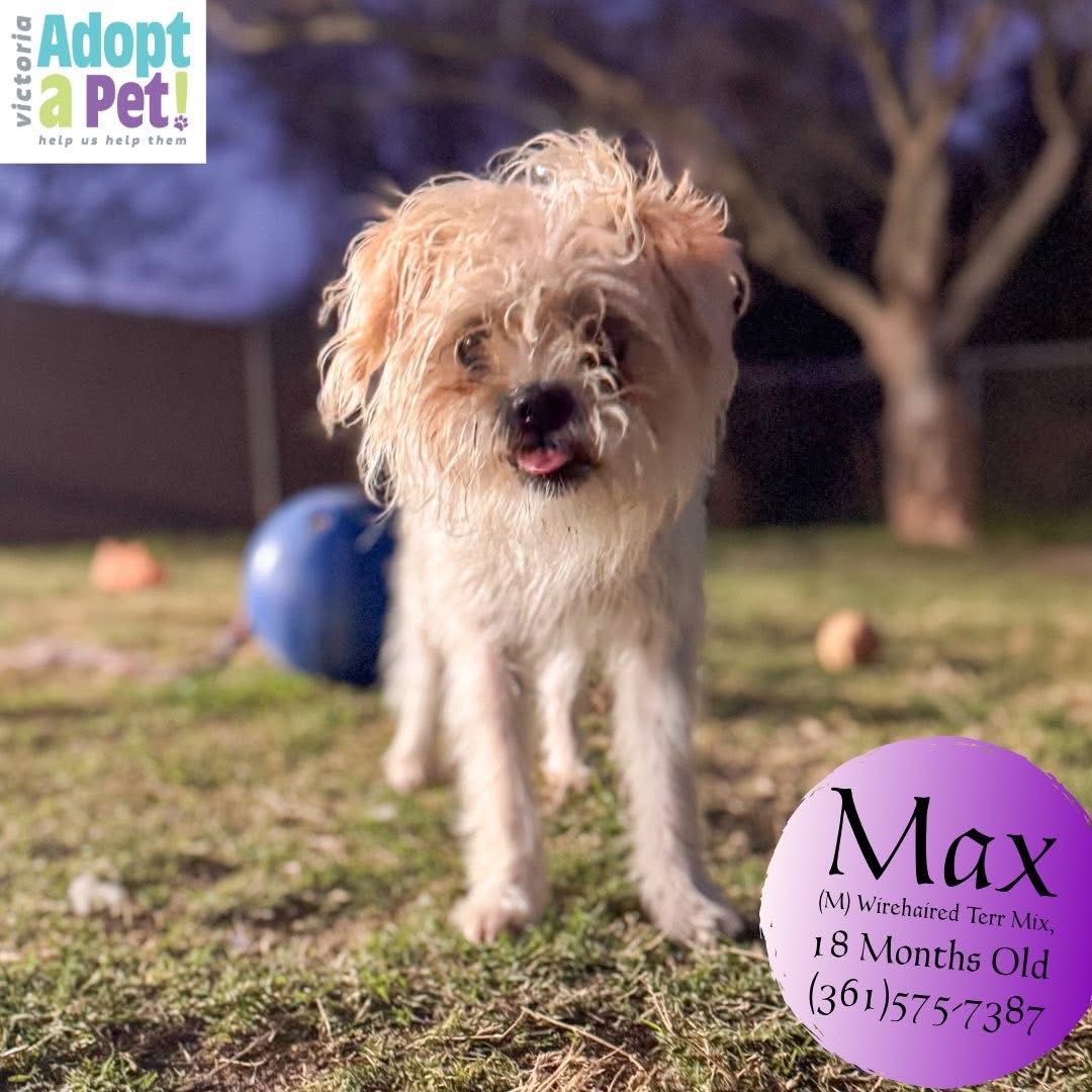 Max