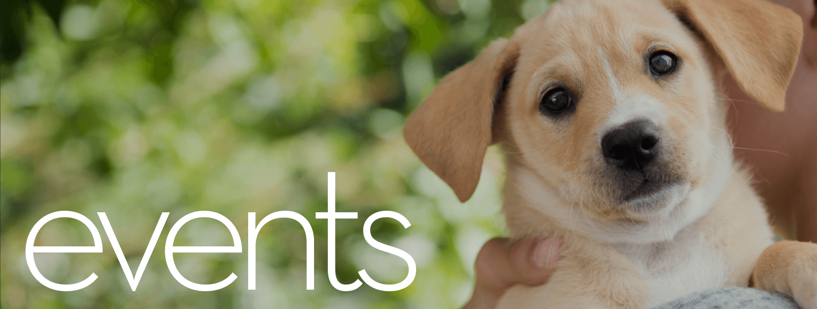 Events | Adopt-A-Pet | Victoria, Texas